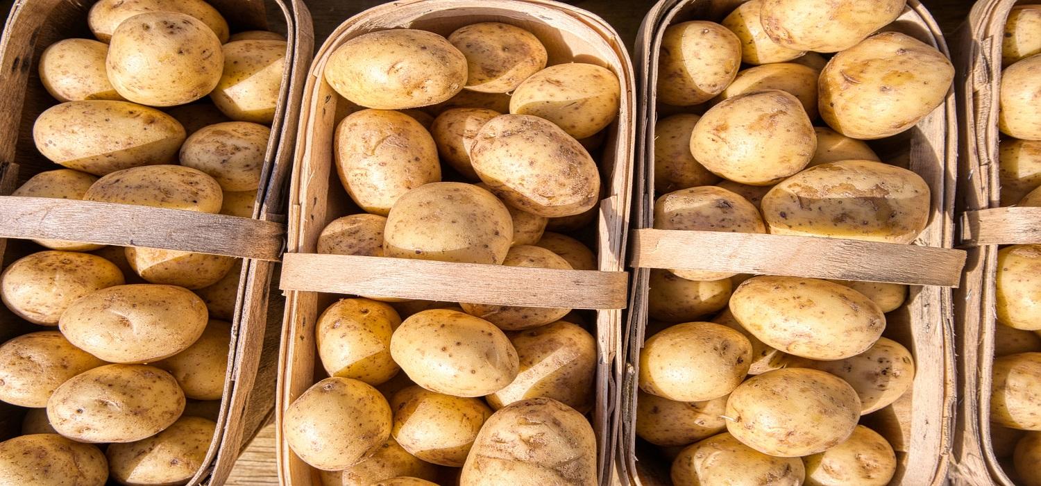 Jakie rodzaje ziemniaka występują