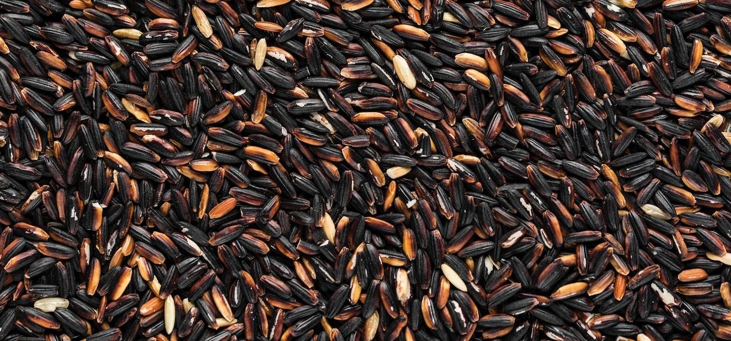 Czarny ryż - czym jest i jak go gotować porady